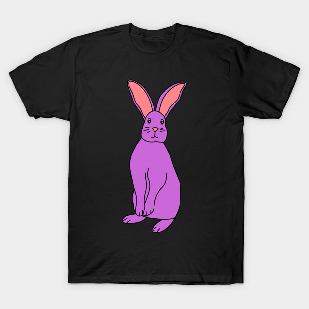 Purple Bunny T-Shirt by Kelly Louise Art